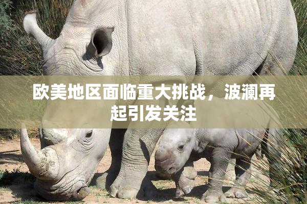 欧美地区面临重大挑战，波澜再起引发关注