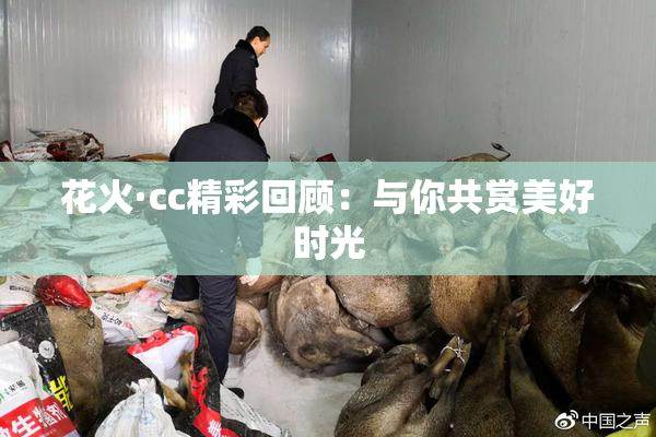花火·cc精彩回顾：与你共赏美好时光