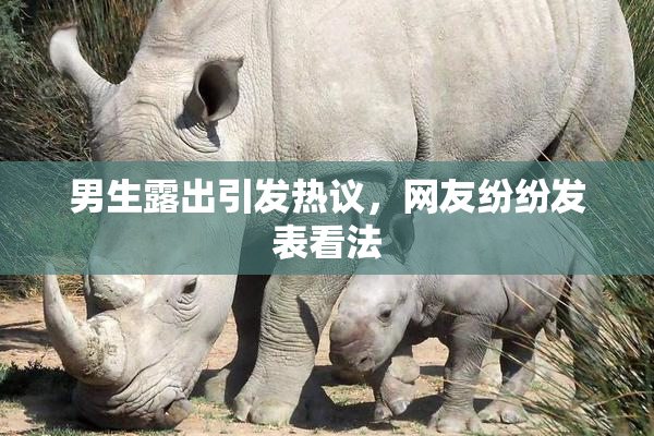 男生露出引发热议，网友纷纷发表看法