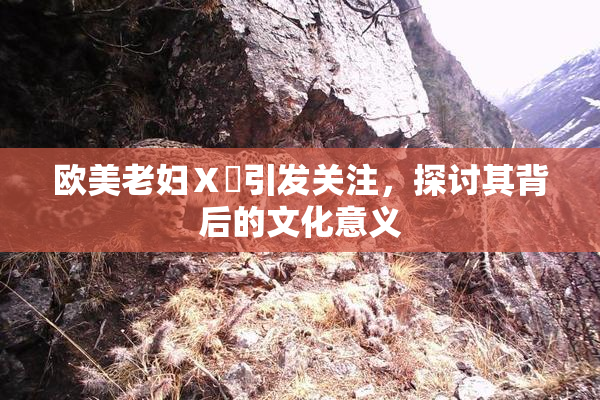 欧美老妇Ⅹ乄引发关注，探讨其背后的文化意义