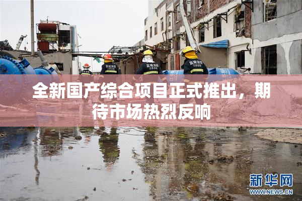 全新国产综合项目正式推出，期待市场热烈反响