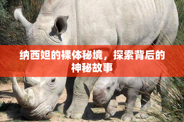 纳西妲的裸体秘境，探索背后的神秘故事