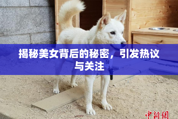 揭秘美女背后的秘密，引发热议与关注