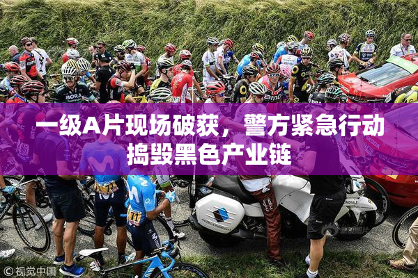 一级A片现场破获，警方紧急行动捣毁黑色产业链