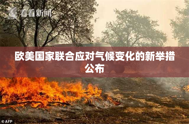 欧美国家联合应对气候变化的新举措公布