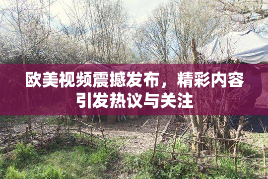 欧美视频震撼发布，精彩内容引发热议与关注