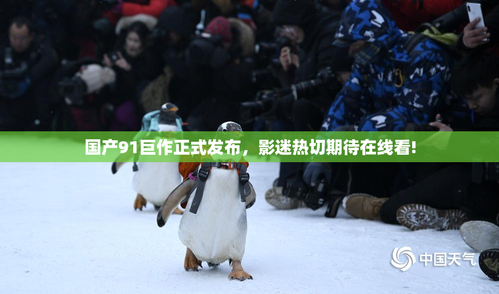 国产91巨作正式发布，影迷热切期待在线看!