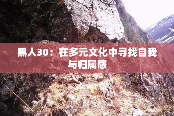 黑人30：在多元文化中寻找自我与归属感