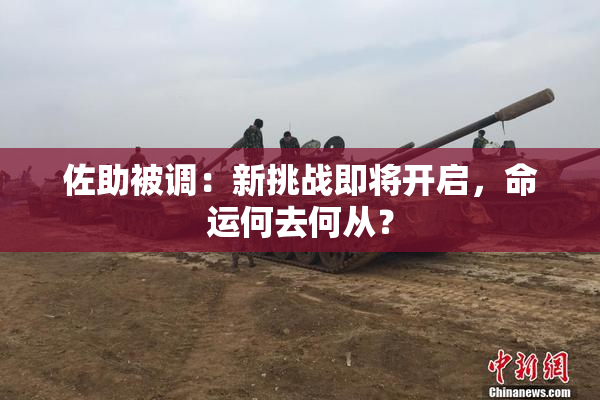 佐助被调：新挑战即将开启，命运何去何从？
