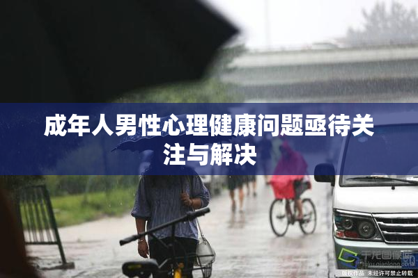成年人男性心理健康问题亟待关注与解决