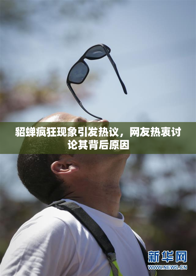 貂蝉疯狂现象引发热议，网友热衷讨论其背后原因