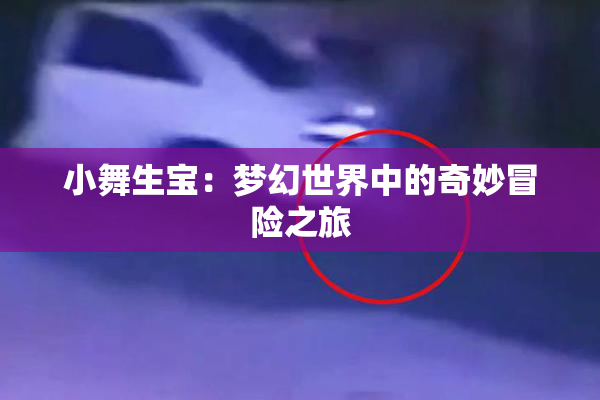 小舞生宝：梦幻世界中的奇妙冒险之旅