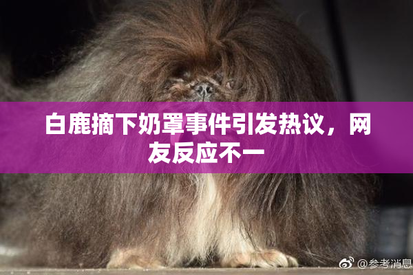 白鹿摘下奶罩事件引发热议，网友反应不一