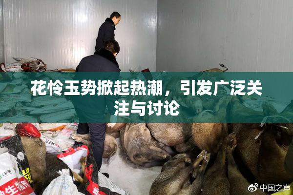 花怜玉势掀起热潮，引发广泛关注与讨论
