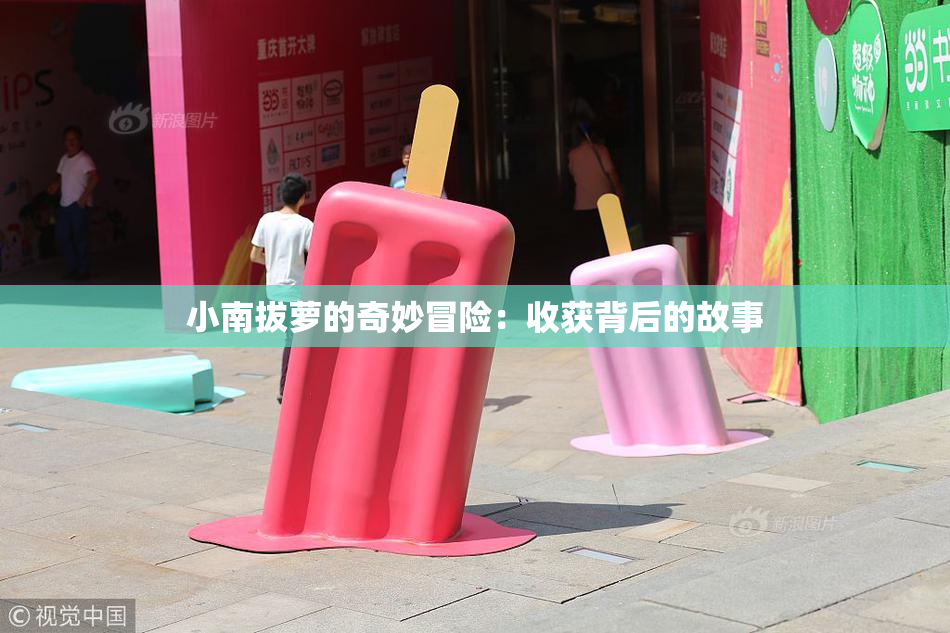 小南拔萝的奇妙冒险：收获背后的故事