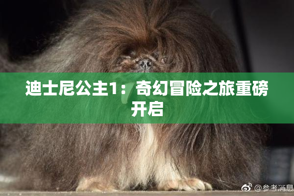 迪士尼公主1：奇幻冒险之旅重磅开启