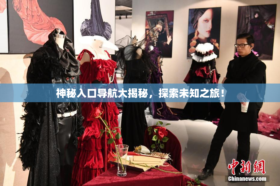 神秘入口导航大揭秘，探索未知之旅！