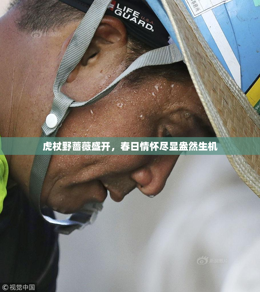 虎杖野蔷薇盛开，春日情怀尽显盎然生机