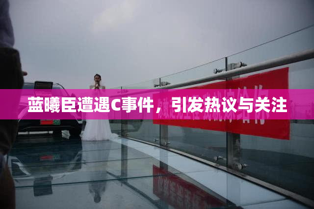蓝曦臣遭遇C事件，引发热议与关注