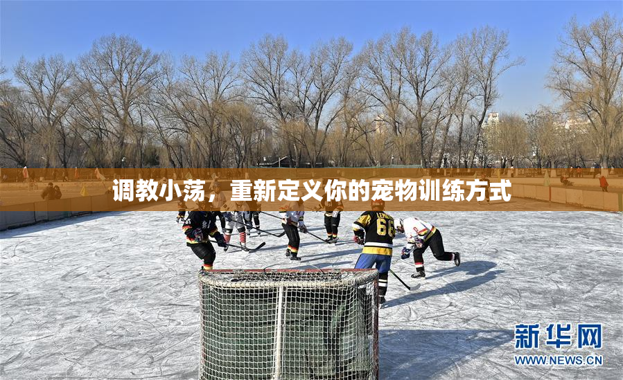 调教小荡，重新定义你的宠物训练方式