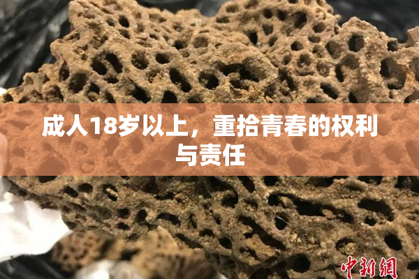 成人18岁以上，重拾青春的权利与责任