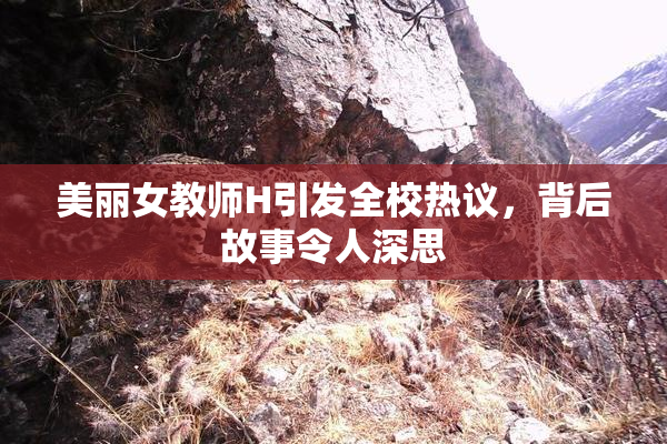 美丽女教师H引发全校热议，背后故事令人深思