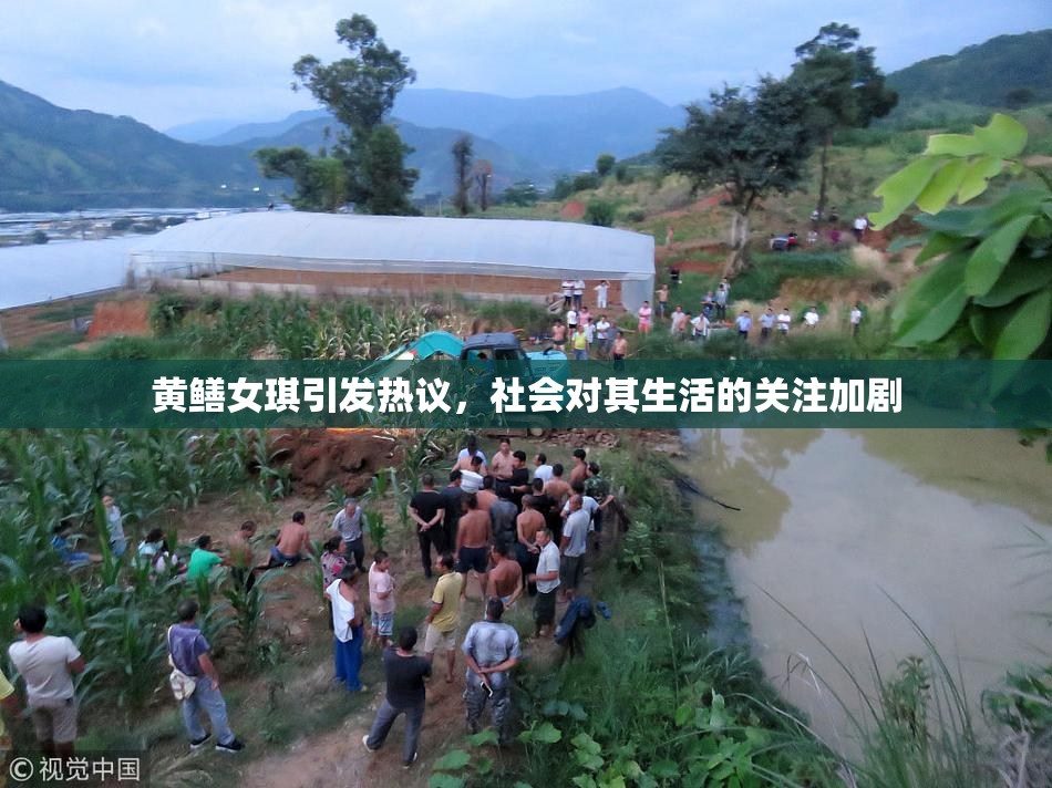 黄鳝女琪引发热议，社会对其生活的关注加剧