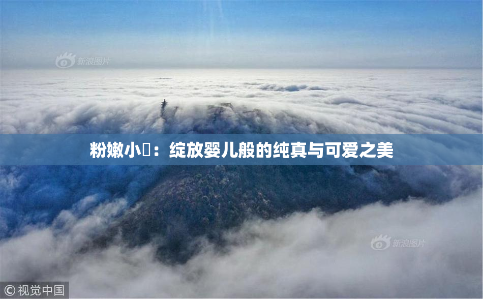 粉嫩小泬：绽放婴儿般的纯真与可爱之美