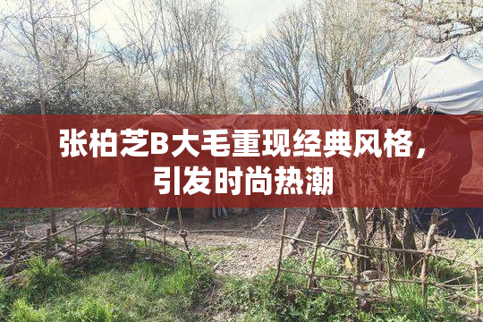 张柏芝B大毛重现经典风格，引发时尚热潮