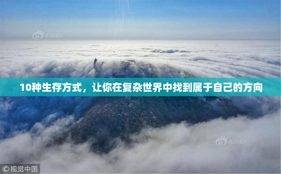 10种生存方式，让你在复杂世界中找到属于自己的方向