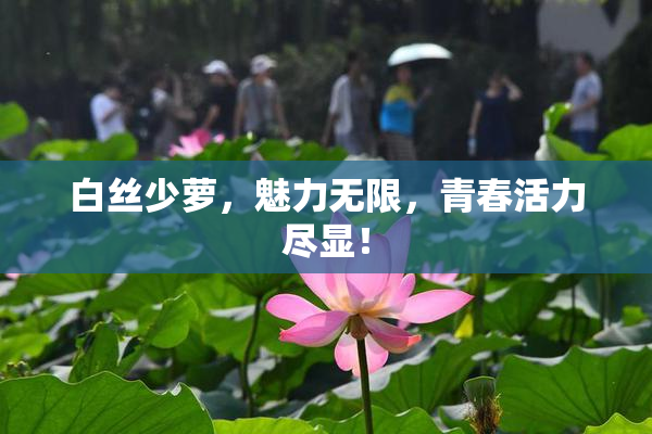 白丝少萝，魅力无限，青春活力尽显！
