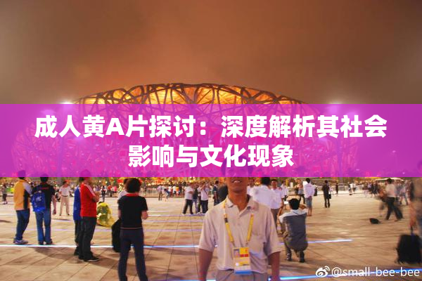 成人黄A片探讨：深度解析其社会影响与文化现象