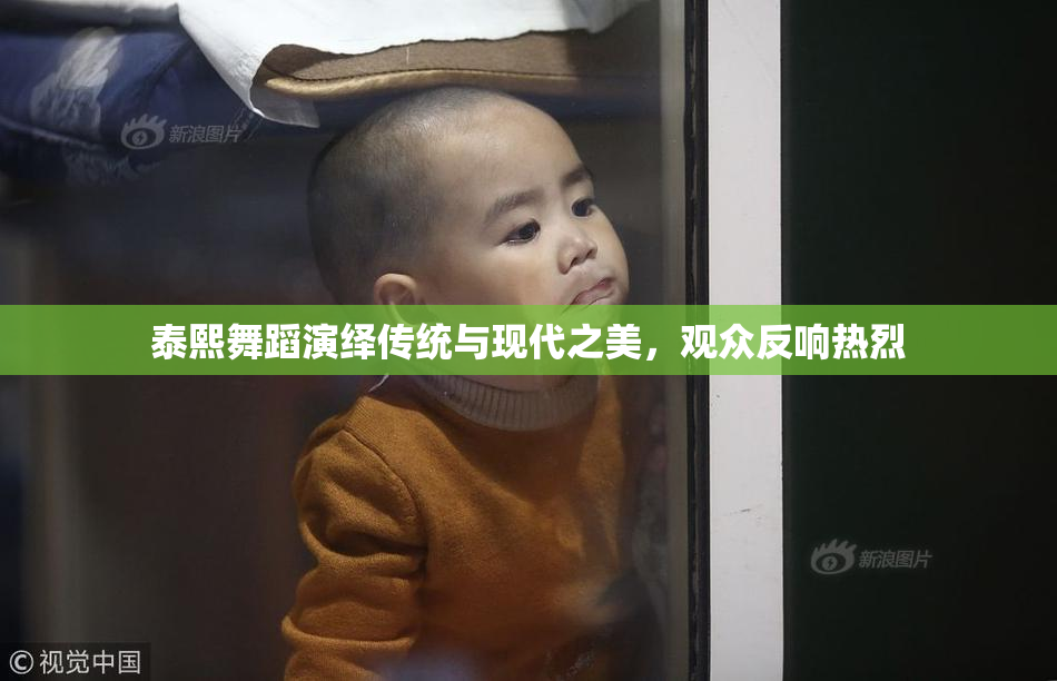 泰熙舞蹈演绎传统与现代之美，观众反响热烈