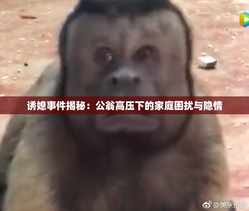 诱媳事件揭秘：公翁高压下的家庭困扰与隐情