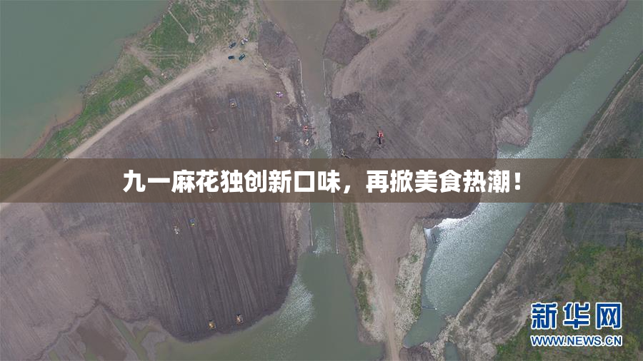 九一麻花独创新口味，再掀美食热潮！