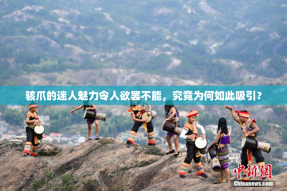 骇爪的迷人魅力令人欲罢不能，究竟为何如此吸引？