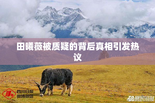 田曦薇被质疑的背后真相引发热议
