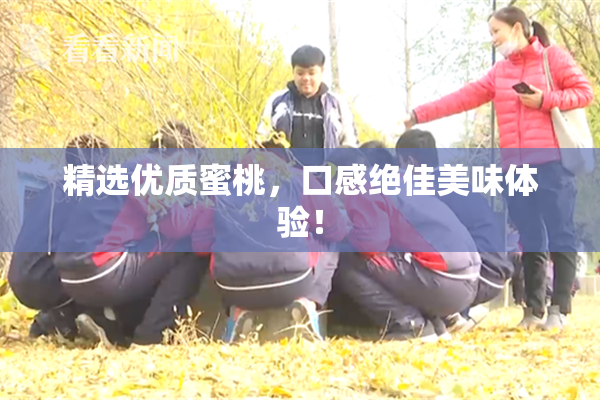 精选优质蜜桃，口感绝佳美味体验！