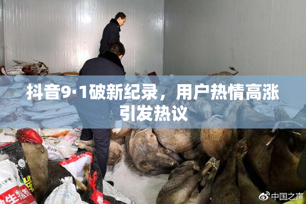 抖音9·1破新纪录，用户热情高涨引发热议