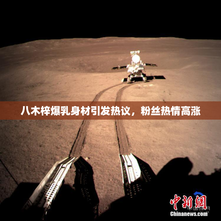 八木梓爆乳身材引发热议，粉丝热情高涨