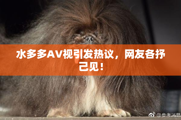 水多多AV视引发热议，网友各抒己见！