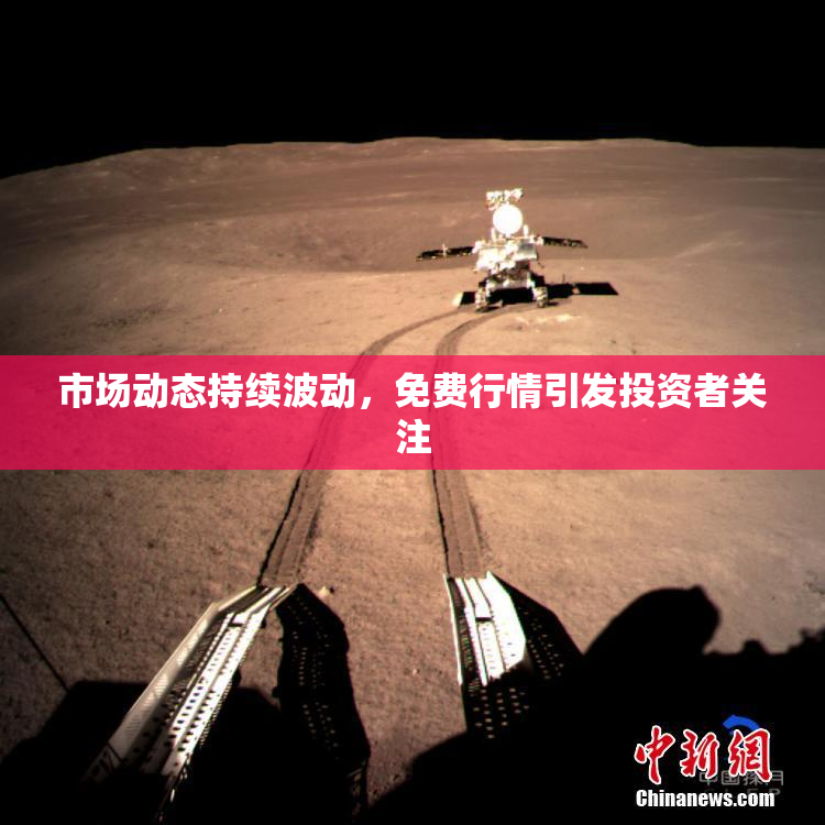 市场动态持续波动，免费行情引发投资者关注