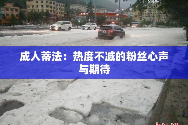 成人蒂法：热度不减的粉丝心声与期待