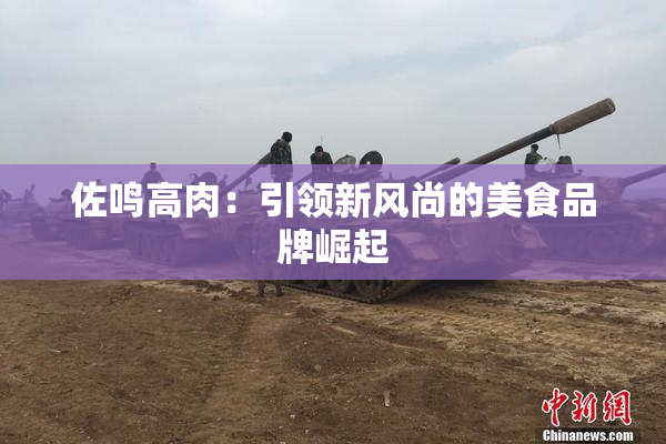 佐鸣高肉：引领新风尚的美食品牌崛起