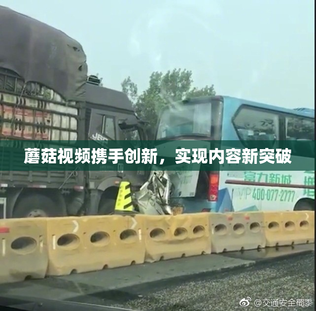 蘑菇视频携手创新，实现内容新突破