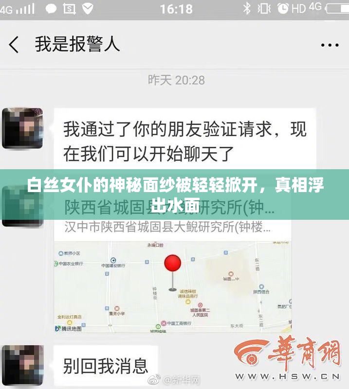 白丝女仆的神秘面纱被轻轻掀开，真相浮出水面
