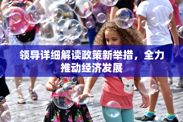 领导详细解读政策新举措，全力推动经济发展