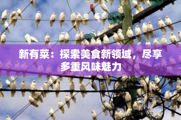 新有菜：探索美食新领域，尽享多重风味魅力
