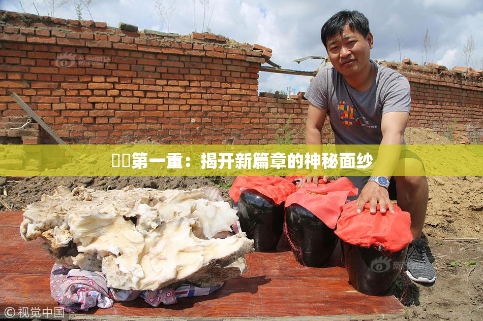 妺妺第一重：揭开新篇章的神秘面纱