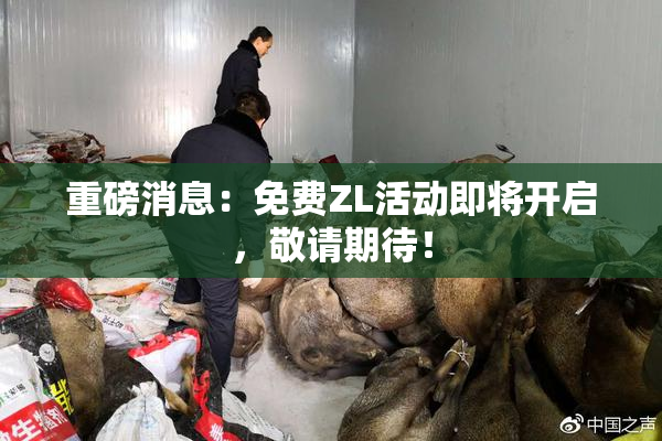 重磅消息：免费ZL活动即将开启，敬请期待！